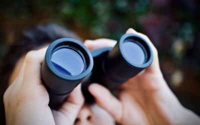 Binoculars – Why I bought the Nikon Prostaff P7 8×42